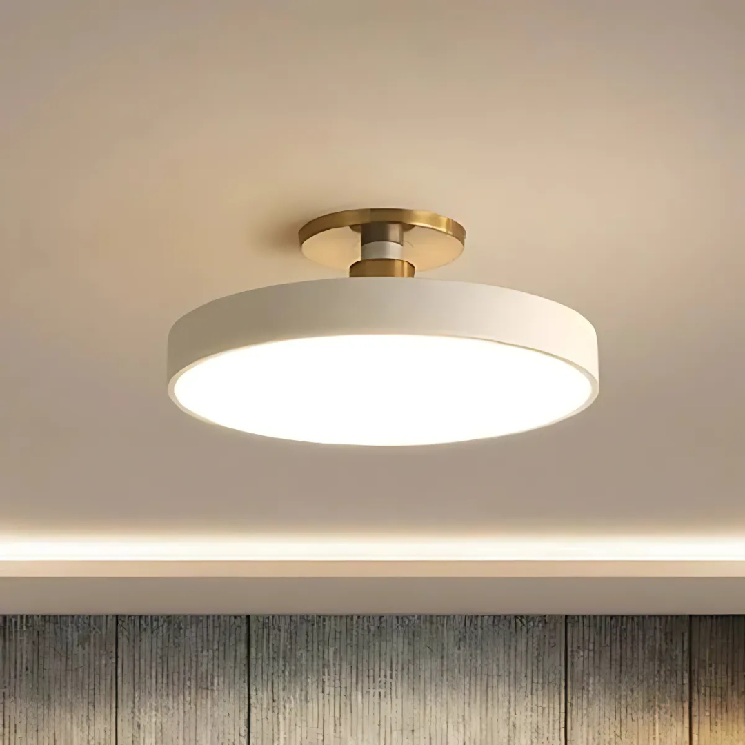 Solon LED Ceiling Light, Scandinavian Integrated LED Flush Ceiling Lamp for Living Room, Bedroom, Hallway and Kitchen