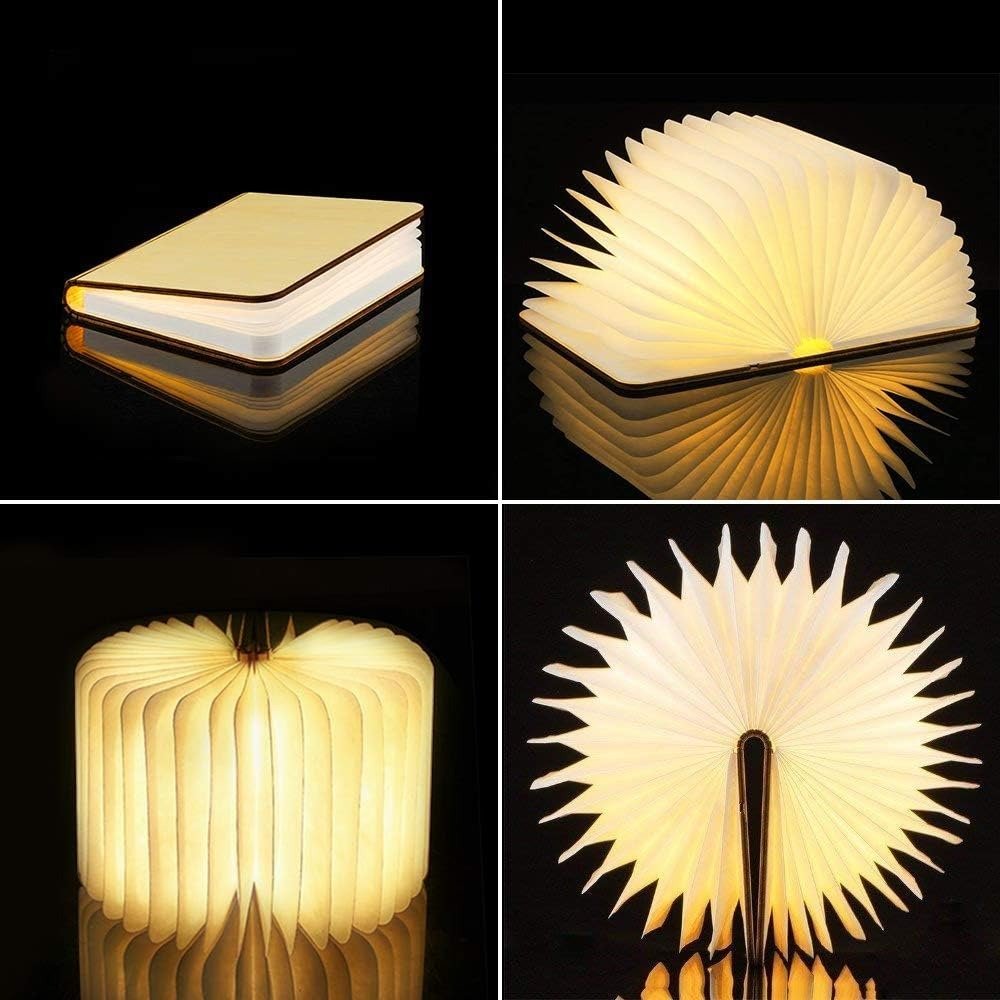 Lumibook Table Lamp, Contemporary Rechargeable LED Desk Lamp, Adjustable Cordless Light for Home Office, Study and Bedroom